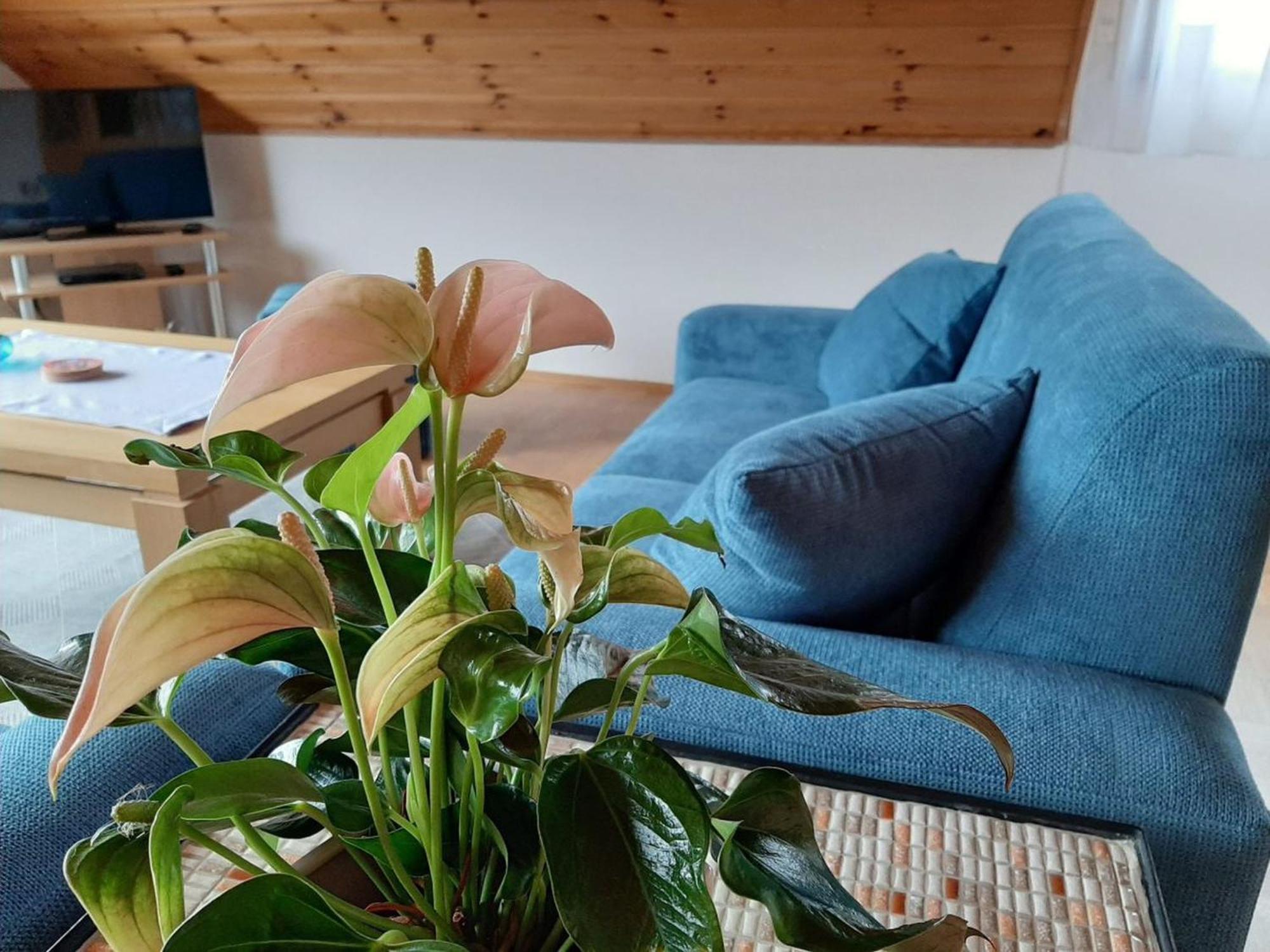 Ferienwohnung Am Patenberg Finnentrop Dış mekan fotoğraf
